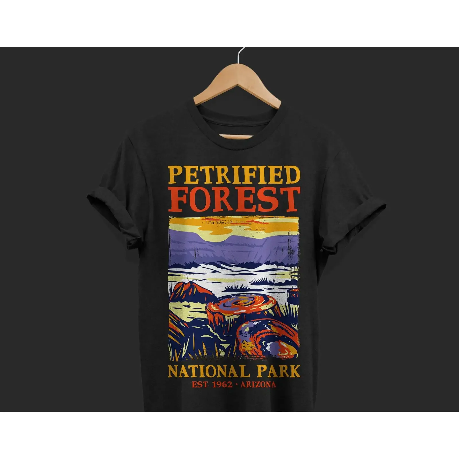 Vintage Petrified Forest National Park Arizona T Shirt US Parks Lover Outdoor Adventure Camping Hiking Travel  vintage Washed