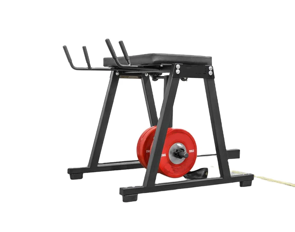 

Longglory Multi Power Cross Training Leg Exercise Reverse Hyper Power Training Leg Extension Gym Machine