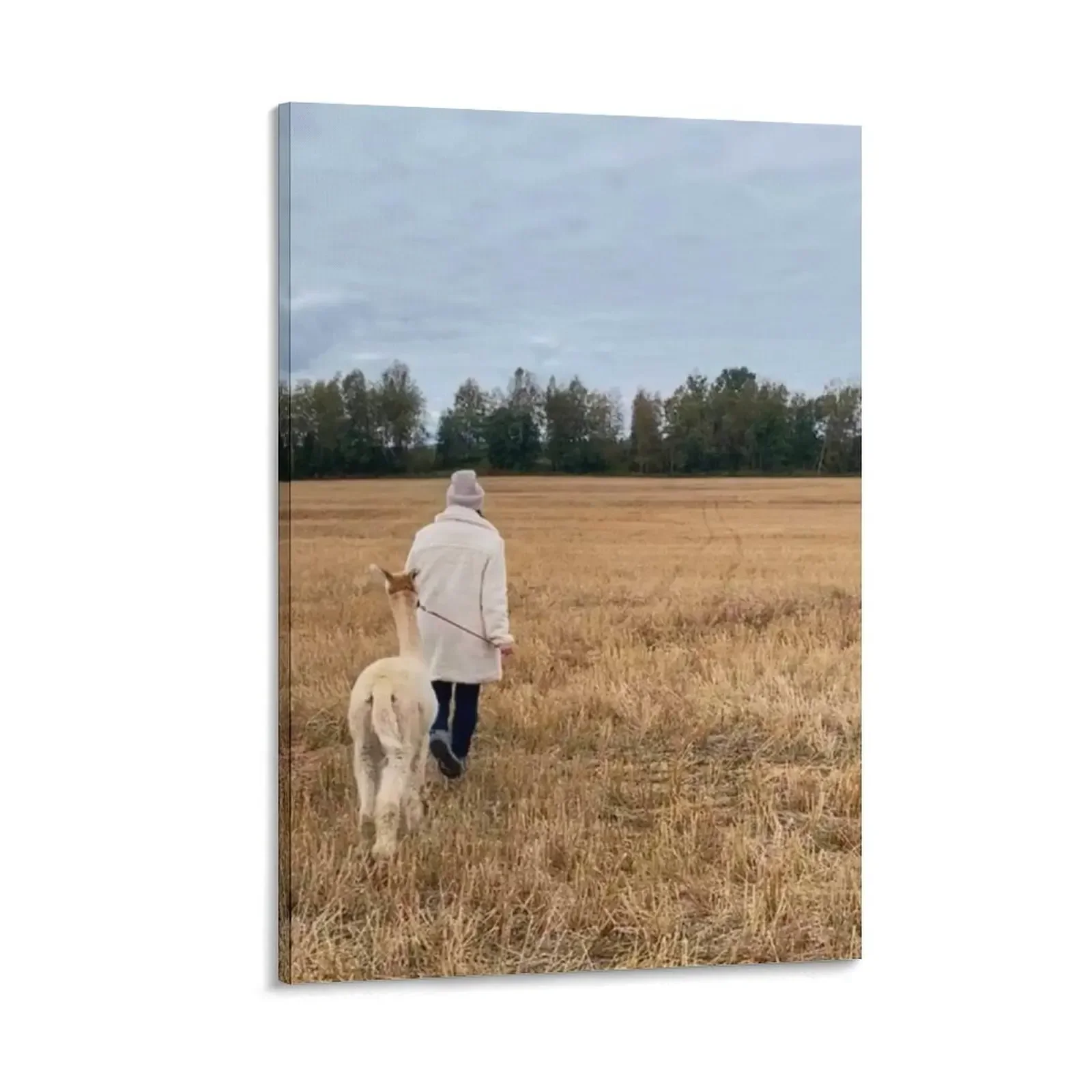 

Alpakka Canvas Painting decorative frames wall room decorative pictures for the room photos for living room decor