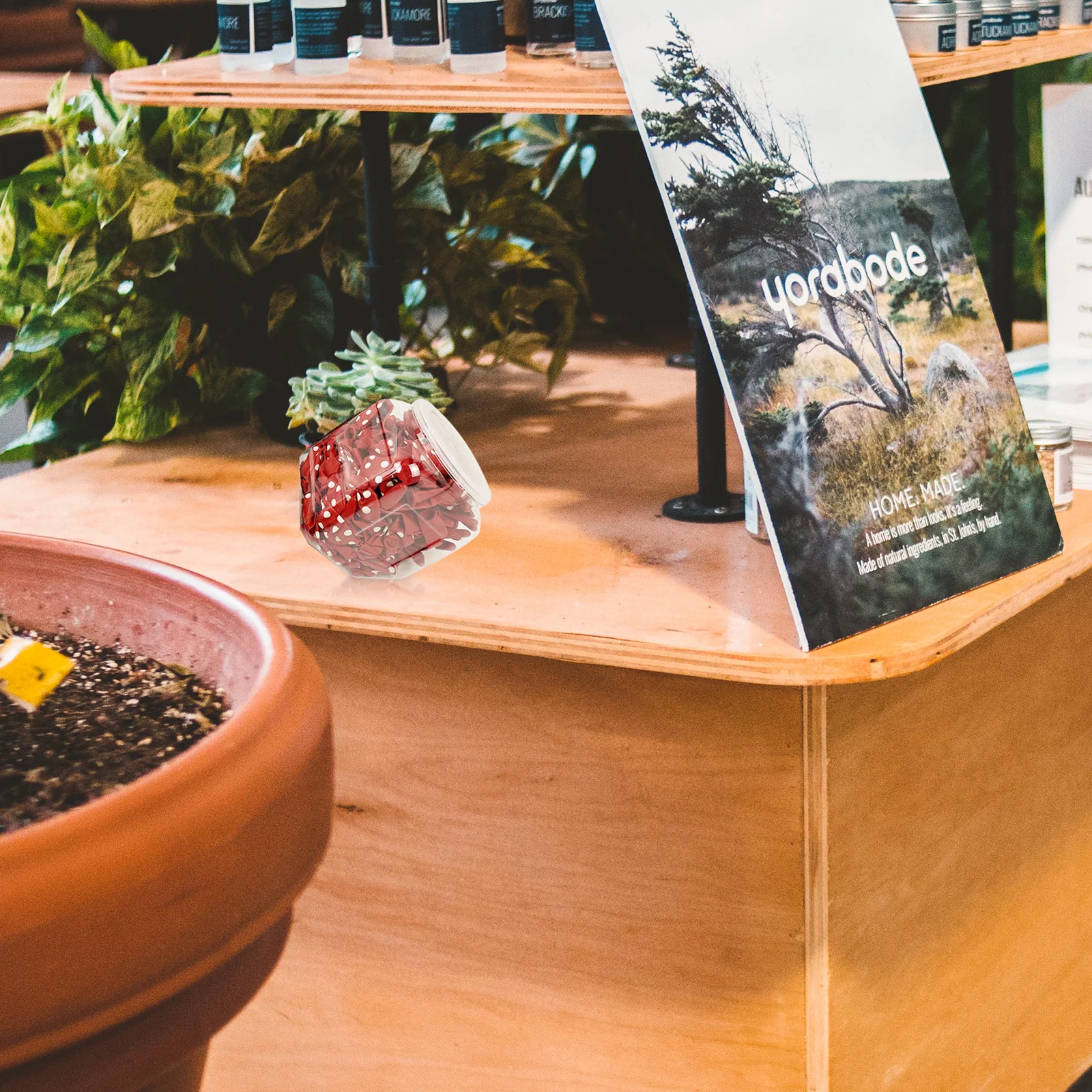 

Transparent Plastic Storage Jar Candy Confectionery Box Balloon Storage Can Clear Container For Home Organizing Sundries Holder