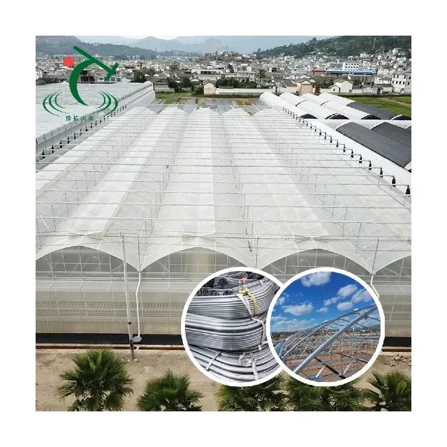 

Customized greenhouseAgriculture Greenhouse Frame Multispan Vegetables Growing Tunnel Multi Span Film Greenhouse with Cooling Pa