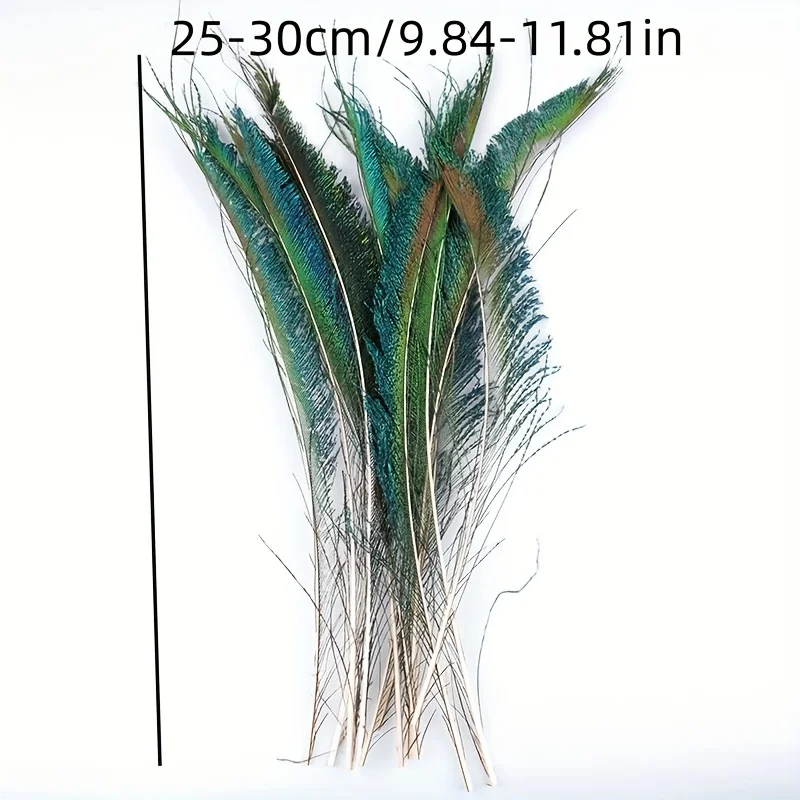 Wholesale 25-35cm Peacock Feather Sword Dyed Feathers for DIY Decoration Peacock Edge Wing Floral Insert Cat Toy Craft Supplies view 2