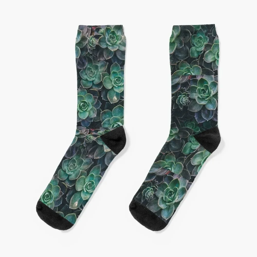 

Succulents Socks FASHION sports and leisure valentine gift ideas Stockings compression Socks Girl Men's