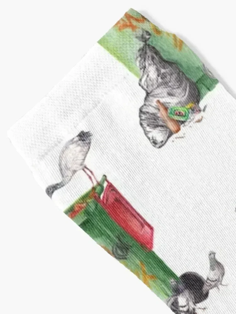 Inner West Feast || Australian Bin Chicken and Pigeons Socks short funny gift essential Socks Women's Men's