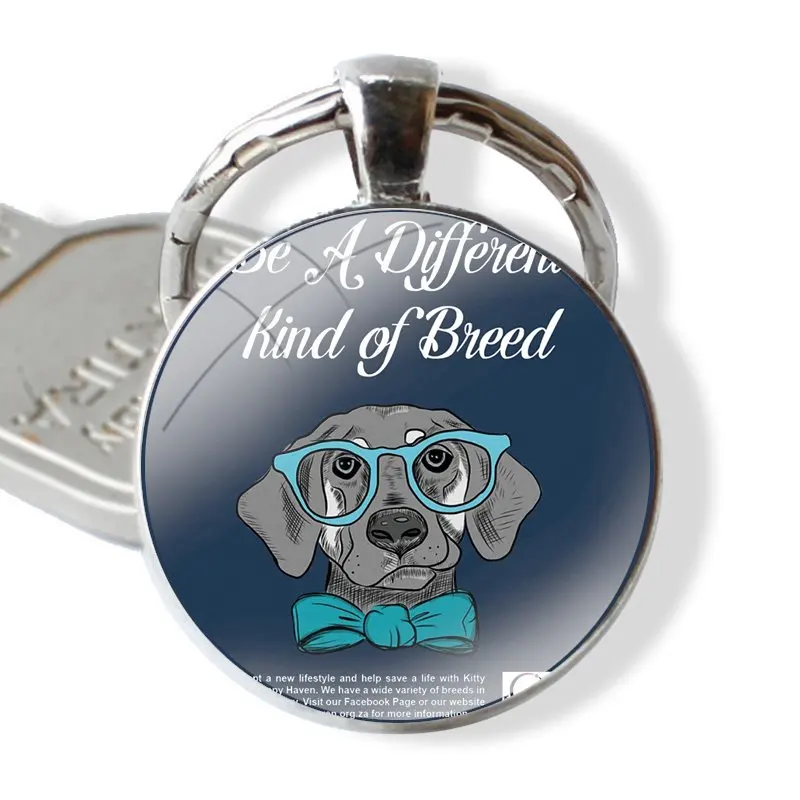 Weimaraner-Porte-clé avec cabochon en verre fait à la main, pendentif chien art AIN