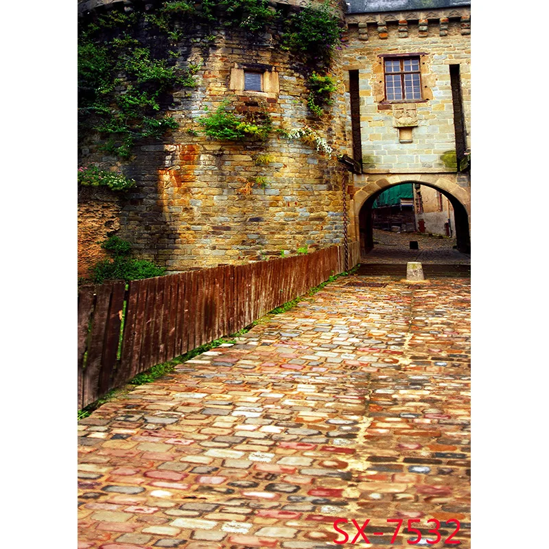 ZHISUXI Retro European Street View Scenery Photography Backdrops Props Wedding Child Photo Backgrounds StudioYXFL-81