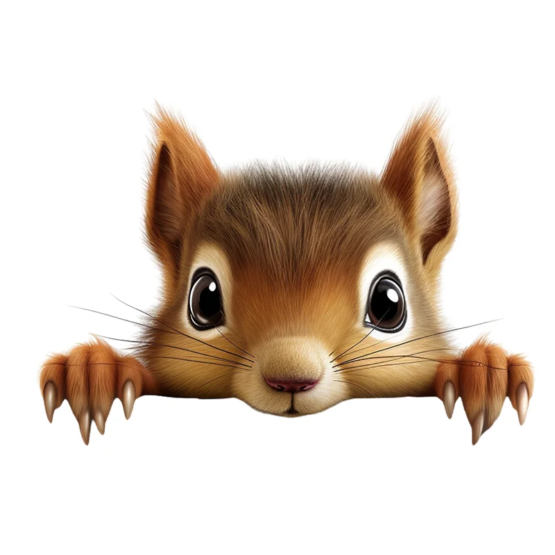 90978# Cute Squirrel Stickers Decoration for Living Room, Wall, Bedroom, Toilet and Home Decor Car Decals Self-Adhesive
