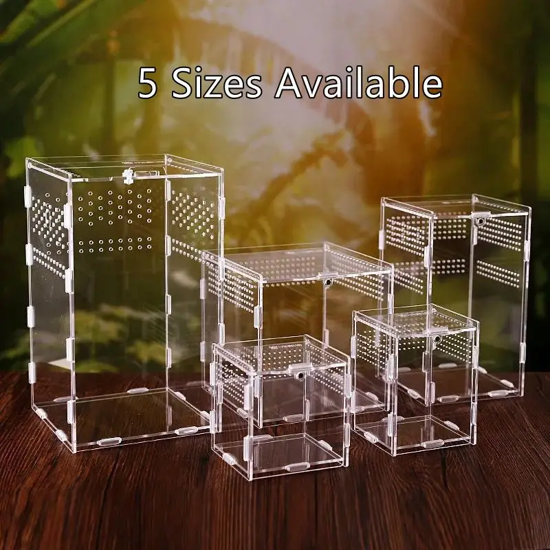 Transparent Acrylic Feeding Box Reptile Terrarium Habitat Breeding Box Spider Mantis Turtle DIY Assembled Crawler Box