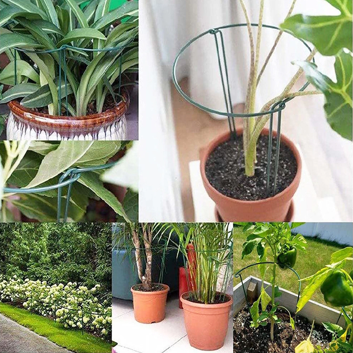 1Pc 2Pcs Plant Semi-circular Support Stake Home Garden Plants Flower Fixed Trellis Flower Bed Bonsai Branches Holder