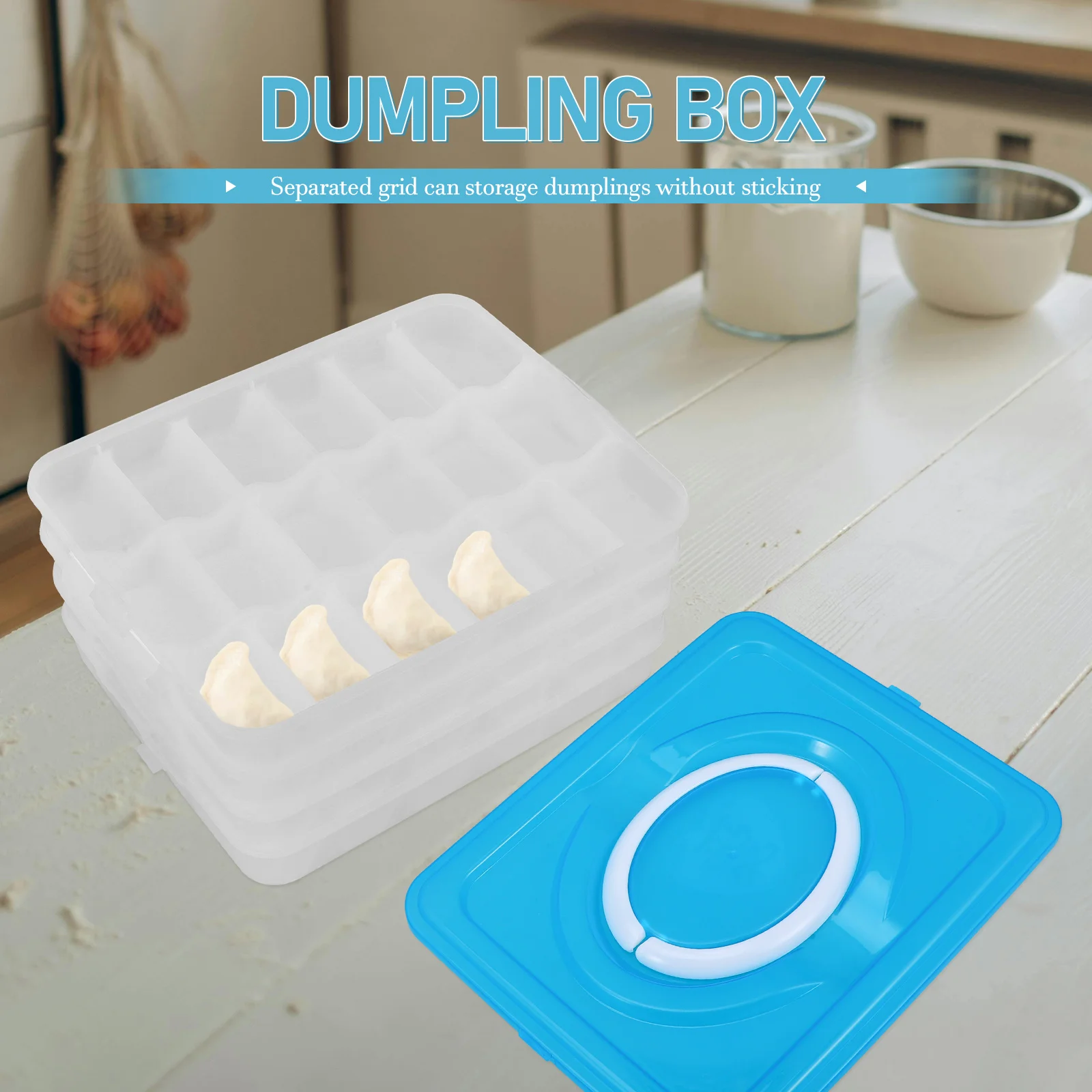 

Storage Box Containers for Food Dumpling Freezer Dumplings Organizer Boxes Holder