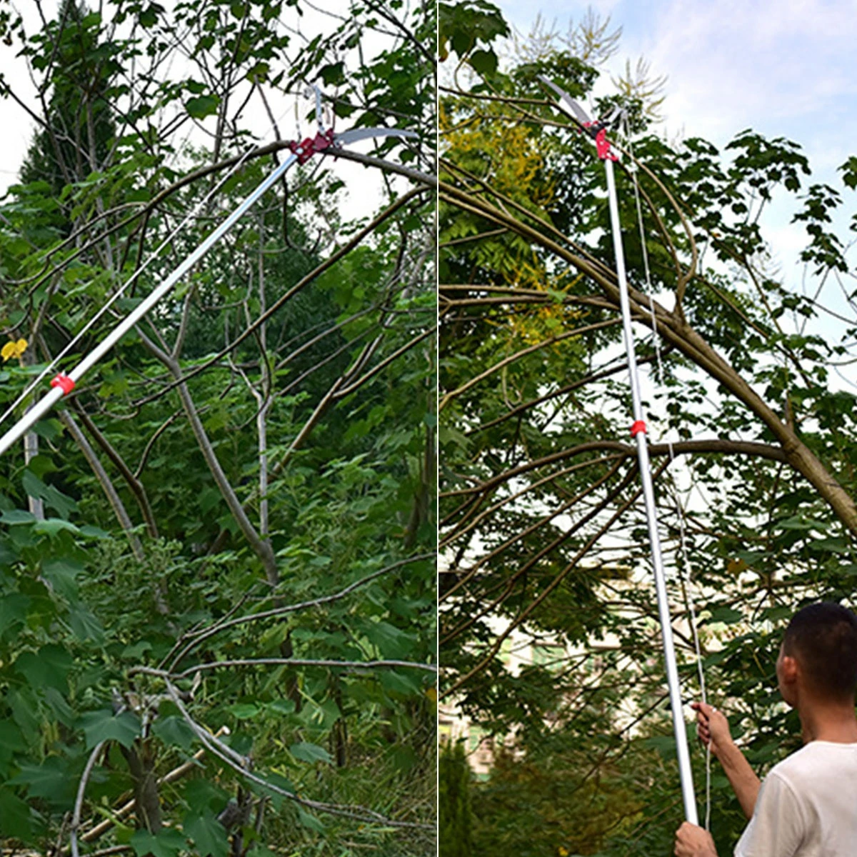 

Pruning Shears Gardening Scissors Fruit Branch Professional Sharp Blades Easy Grip H Suitable Trimming Hedges