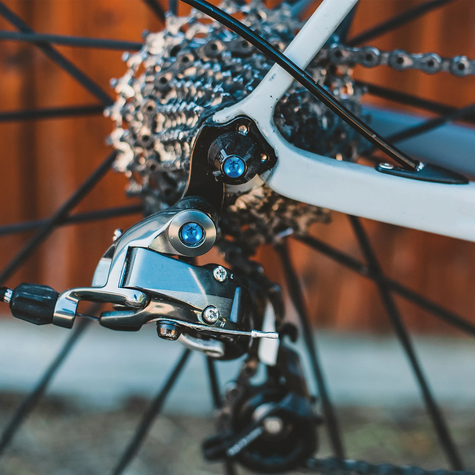 

12Pcs Colorful Bike Disc Rotor Bolts Alloy Steel Durable Brake Disc Screws Accessories Fixing Screws Bike Part