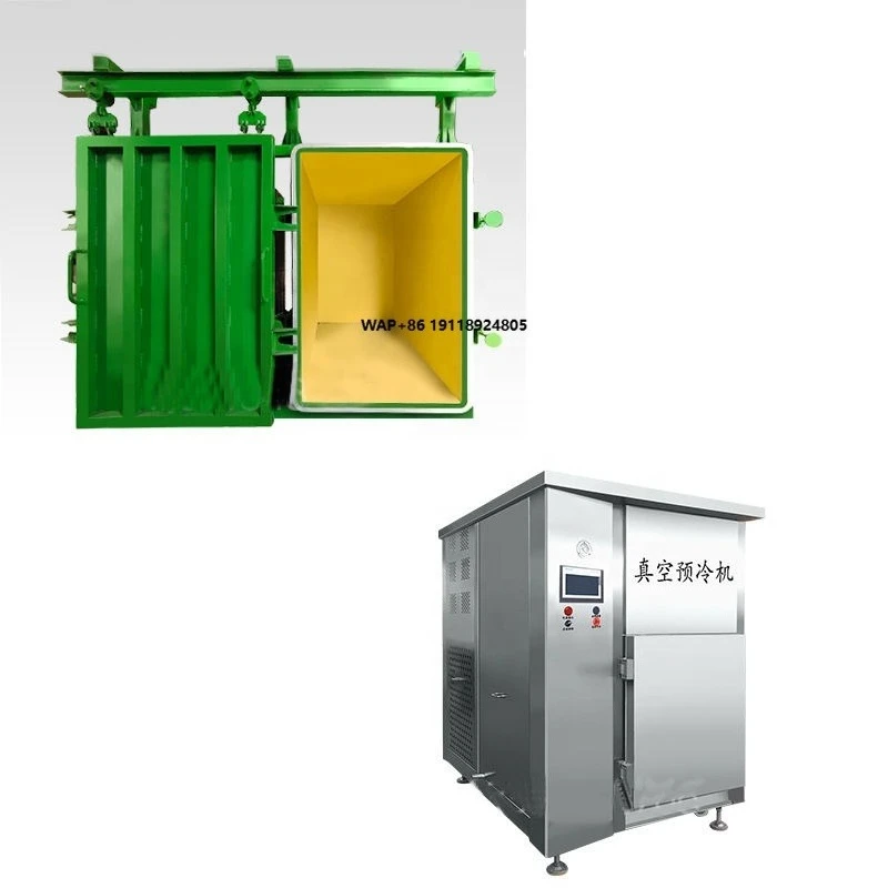 Enfriador al Vacío Automático Inteligente para Vegetales, Frutas y Flores, Equipo de Enfriamiento con Precio de Fábrica