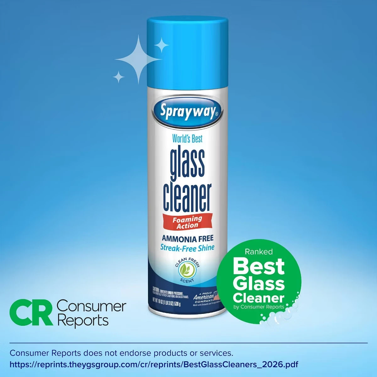 Detergente per Vetri Senza Amm - Glass Cleaner Streak recensione e prezzo