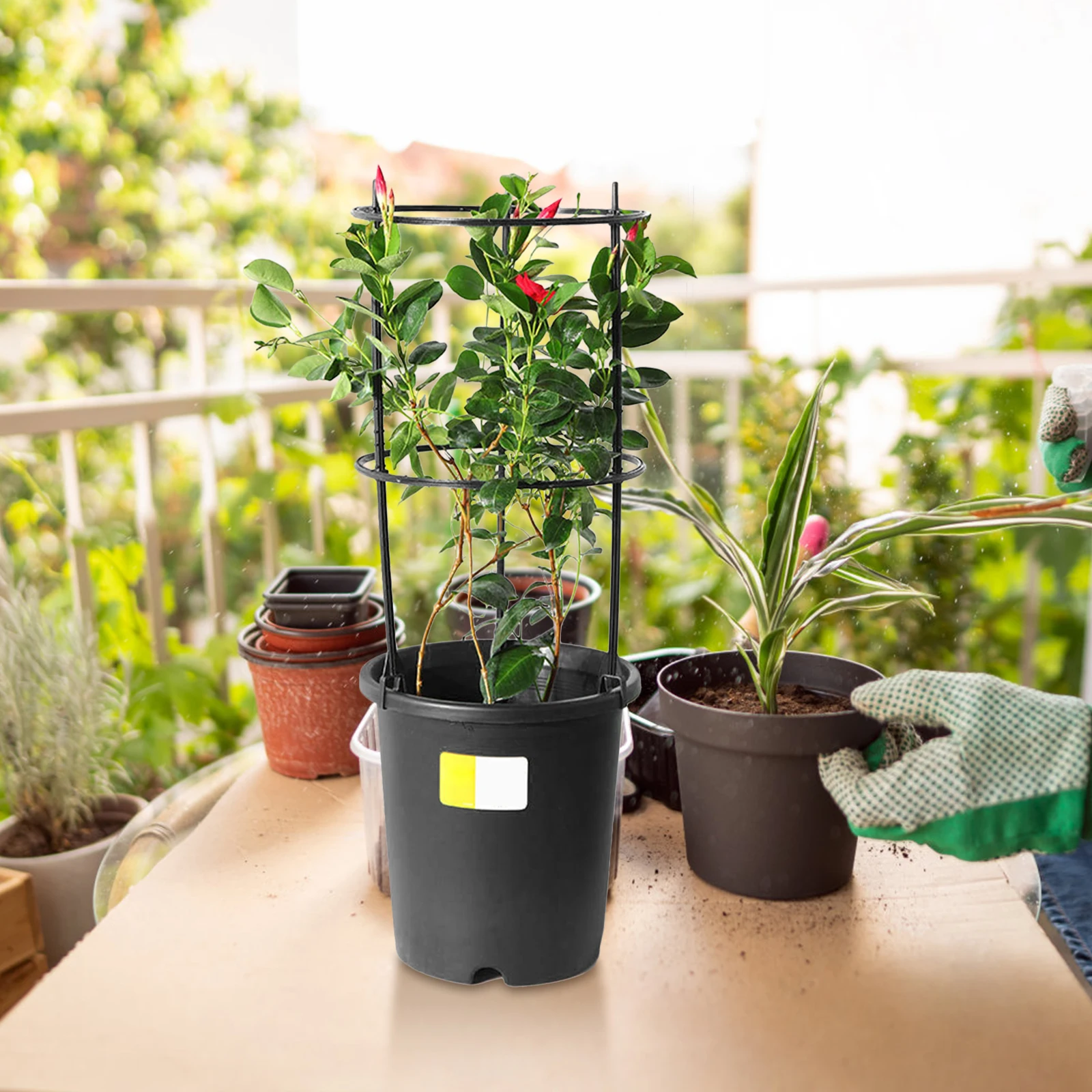 

1 set Plant Climbing Support Stakes Durable Plastic Shelf for Potted Plants Indoor Garden Vine Holder Frame Reusable