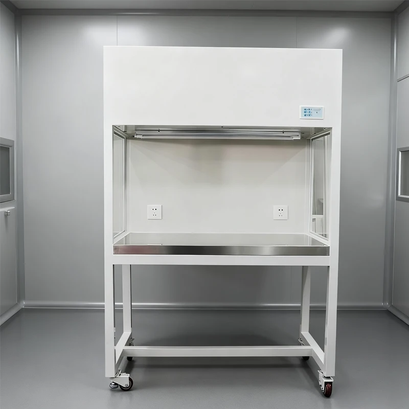 High Efficiency Filtration Biological Safety Cabinet III Low Noise Large Air Volume 304 Stainless Steel Lab Workstation