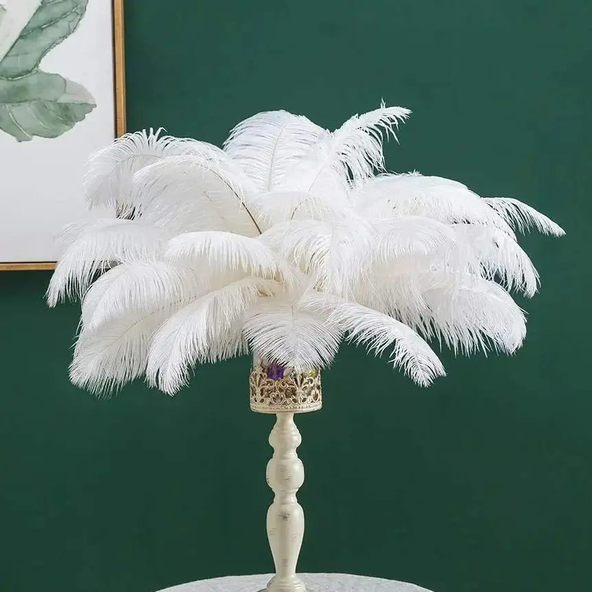 Customized Pure White Ostrich Feathers Boa The Whole 15-20cm Ostrich Plume Large Shawl Scarf Wedding Party Dress Boa Soft Fluffy