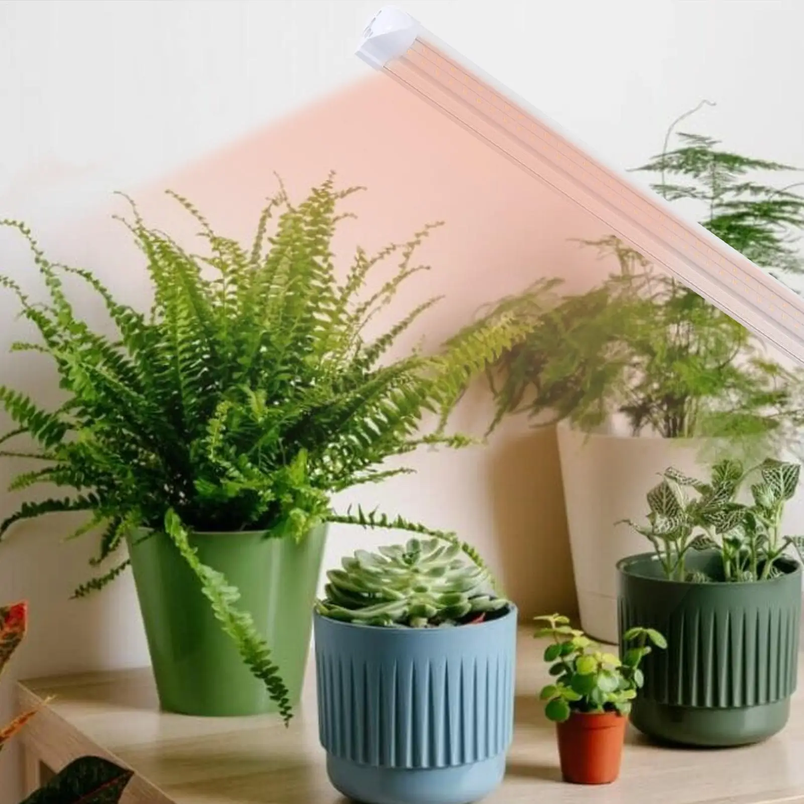 Grow Lights for Indoor Plants 2Ft Sunlight Plant LED Growing Light Linkable Bulbs for Seedlings Houseplant Hydroponic Systems