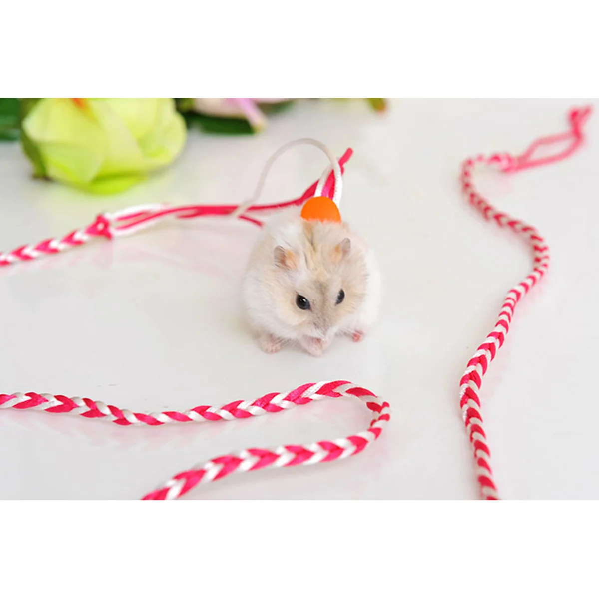 

Adjustable Hamster Harness Leash Collar 2M Flexible Handle Rope Suitable for Hamster Cricetulu Rat Mouse Squirrel Small Pets