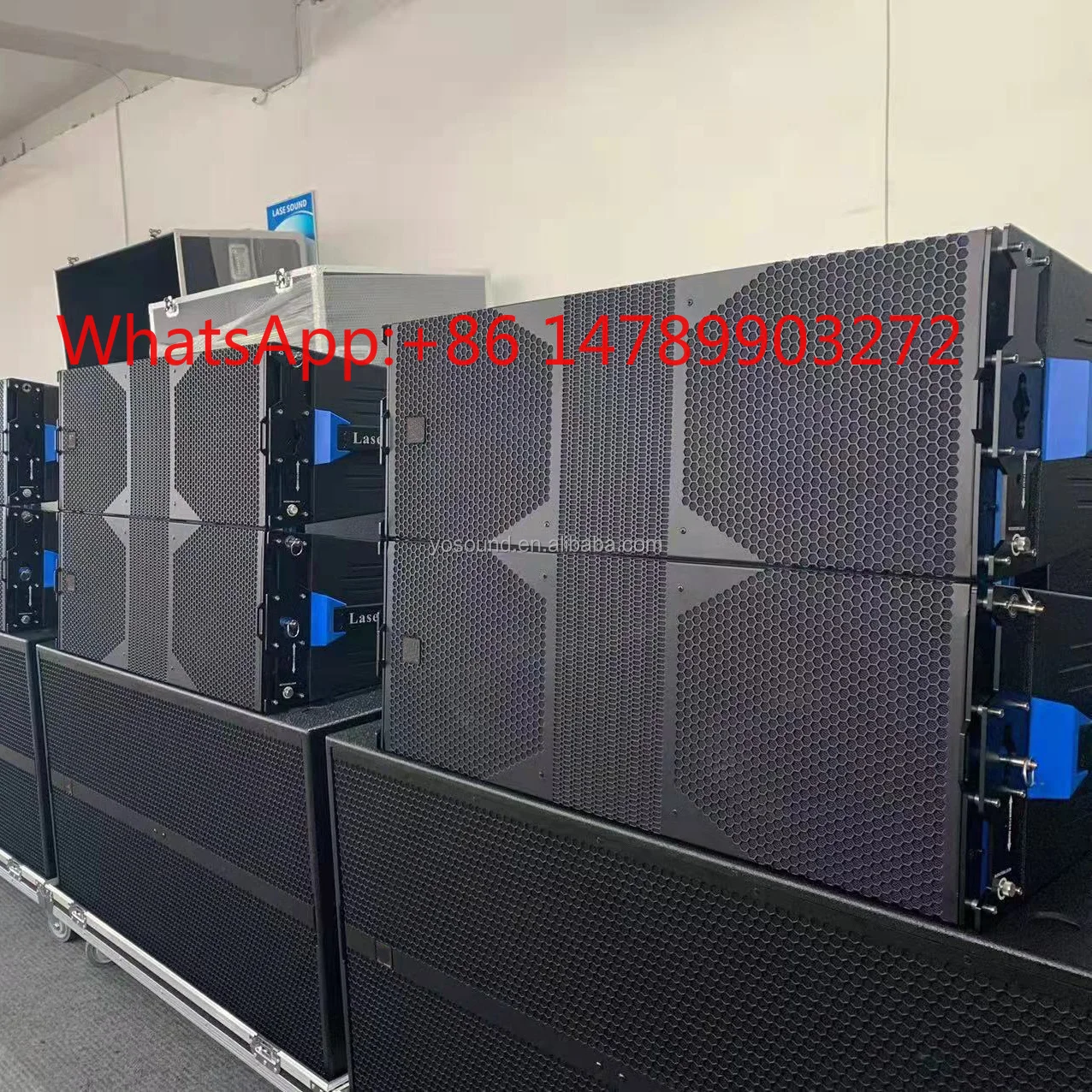 

Dual10 Inch Passive Horn Line Array Speaker For Concert Outdoor Professional Stage PA System