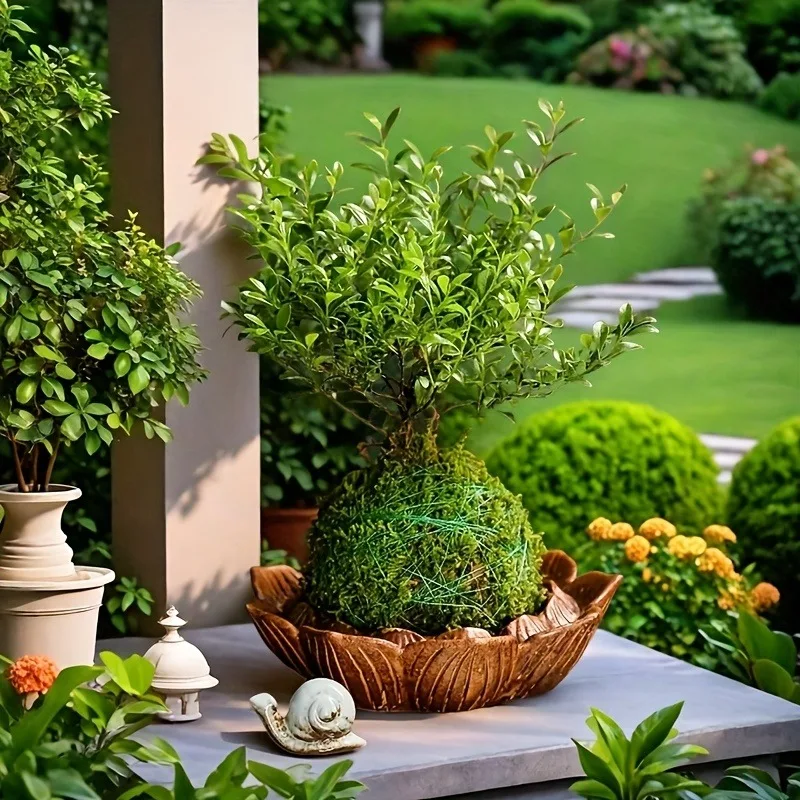 Künstlicher Moosball-Pflanzgefäß, Natürlicher Grüner Bonsai-Pflanzenbehälter, Garten-Mikrolandschaft Dekorativer Moos-Topf für Haus und Garten D – Detail 5