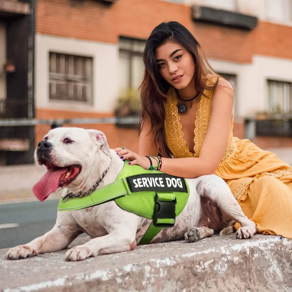 DO NOT PET Dog Vest Harness Reflective Soft Vest With Removable Patches SERVICE DOG IN TRAINING EMOTIONAL Support Therapy Dog