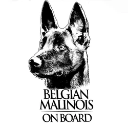 Exterior Accessories Belgian Malinois Clear Vinyl Decal Sticker for Window, Mechelaar Shepherd Dog Sign 15x10cm