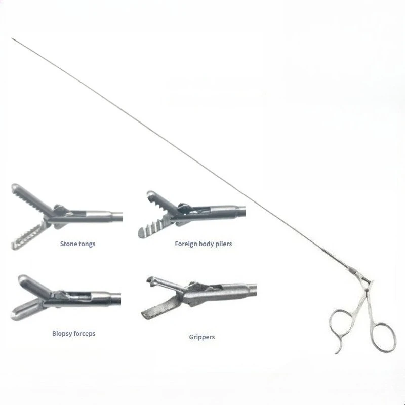 Pince d'extraction de pierre urologique et pince corporelle étrangère. Type rigide utilisé sous l'urètreoscope, spécifications : 5Fr, 4Fr x 580