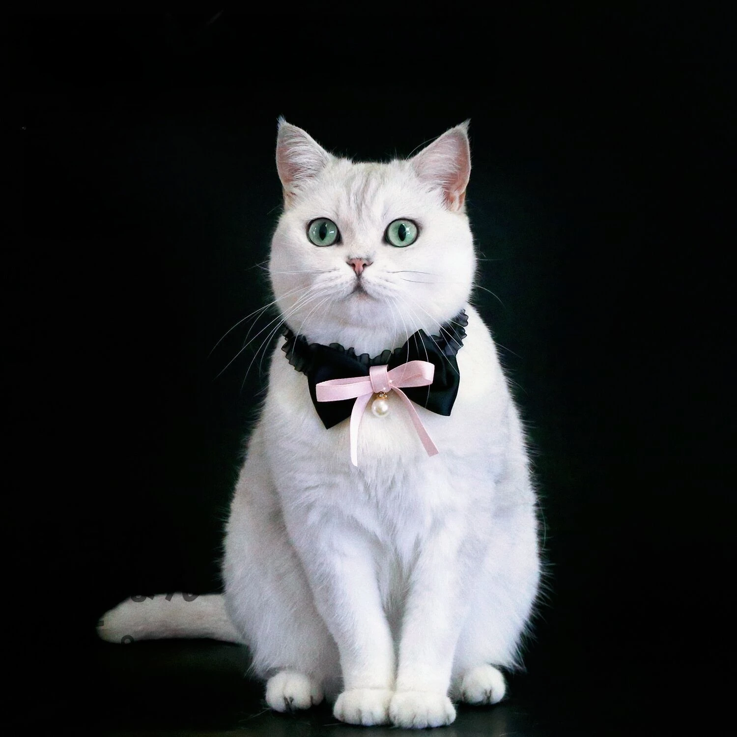 Collar de gato, Collar de lazo rosa con colgante de perla, accesorios de aseo para cachorros, Collar ajustable suave antiasfixia para mascotas para gatos