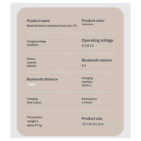 N57R Super Pocket Bluetooth Speaker Under Pillow Bone Conduction Sound Box Rechargeable Wireless Stereo Soundbar White Noise A