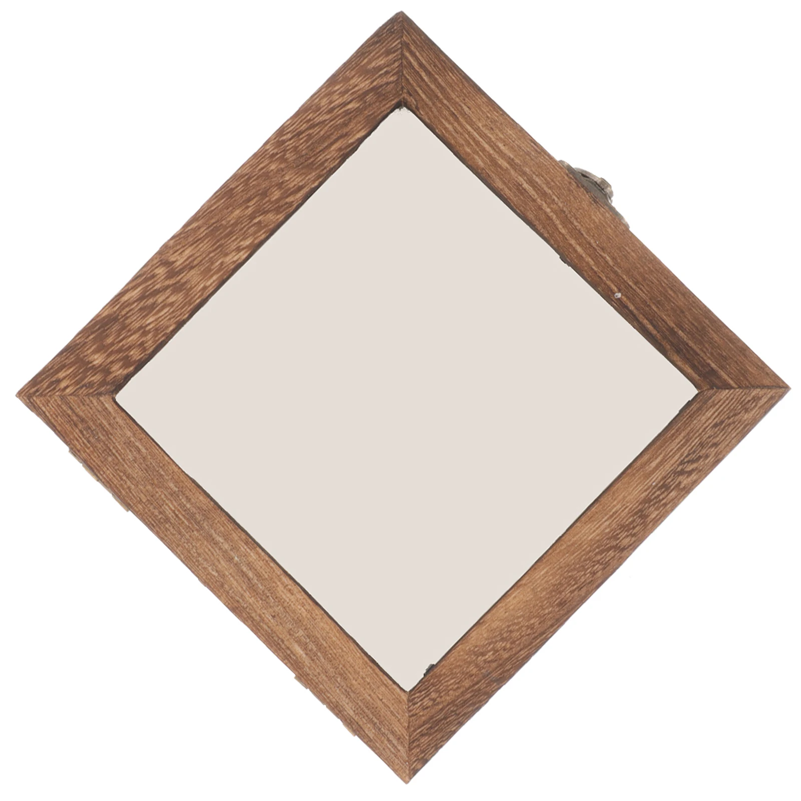 

Insect Specimen Display Case Wood Acrylic Cloth Stable Lightweight Transparent Lid Storage Box for Jewelry Insect Display Case