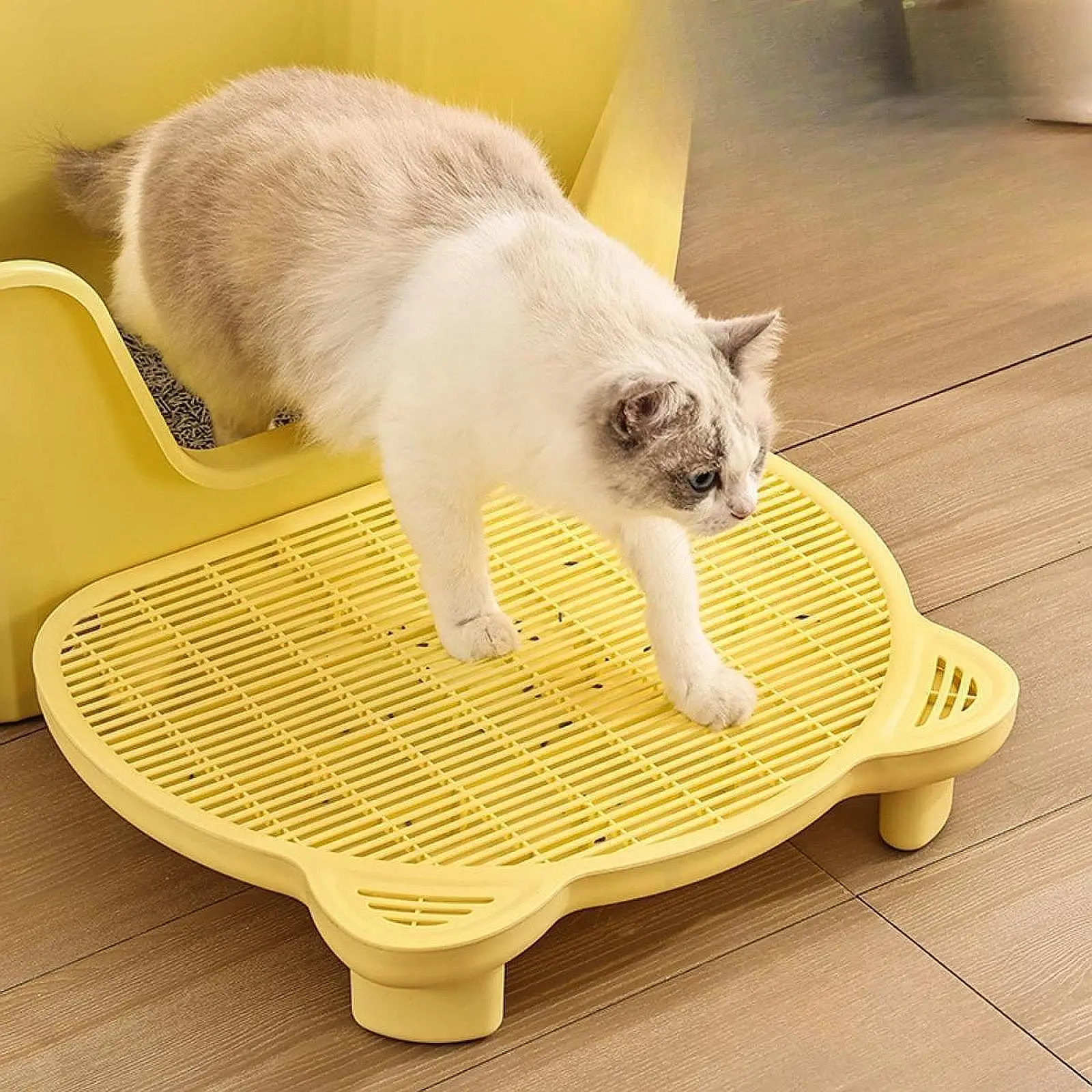Cat Litter Mat Elevated Cat Litter Ramp Reusable Waterproof Anti Litter Trapping Mat for Elderly Cats Indoor Cats Cat Litter Mat Elevated Cat Litter Ramp Reusable Waterproof Anti Litter Trapping Mat for Elderly Cats Indoor Cats