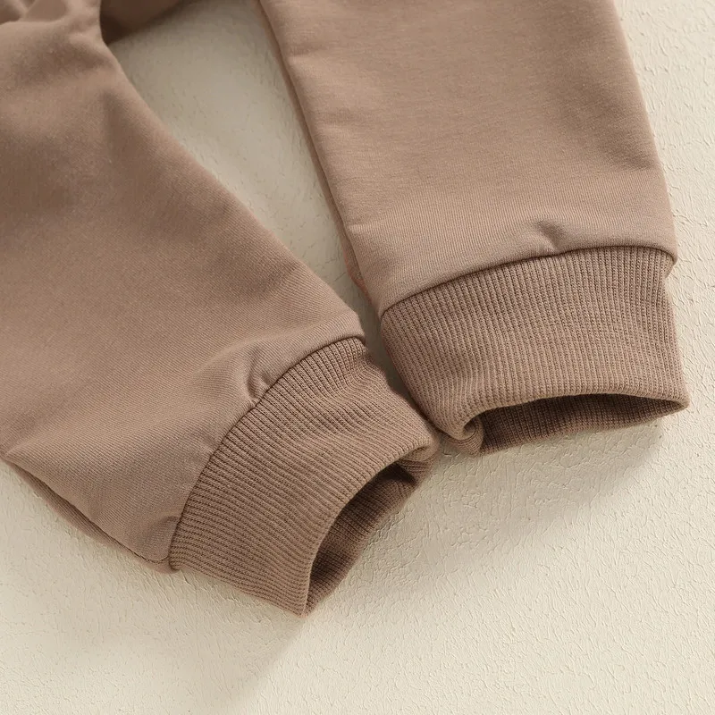 Newborn Baby Boy Pants Sets 2Pcs Fall Clothes Long Sleeve Goose Embroidery Pullover + Solid Pants Set Toddler Baby Clothing