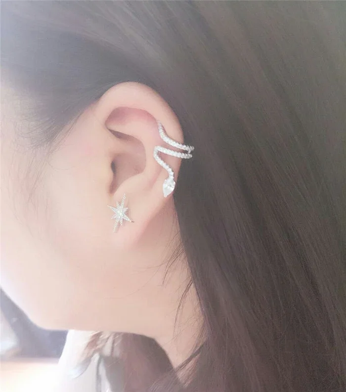 925 Sterling Silber Schlangen ohrring für Frau Modeschmuck Geschenk Hochzeits feier Frauen Ohrringe – Detail 12