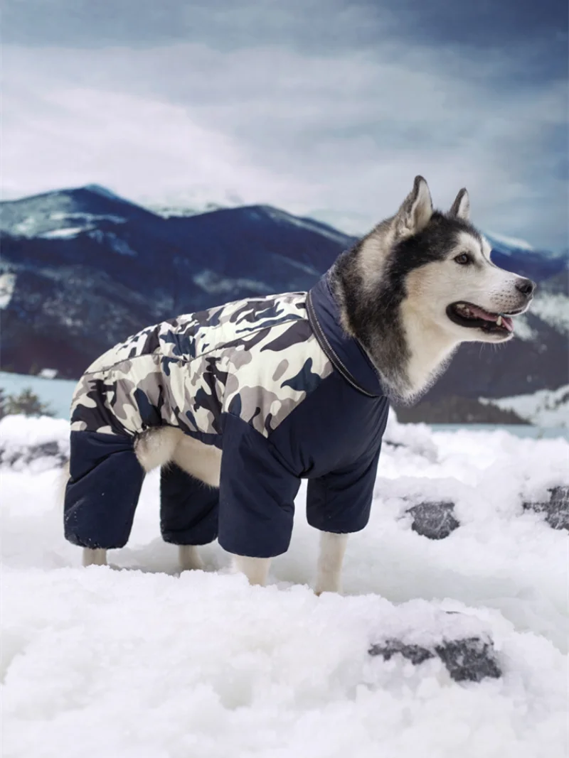 Dog Cotton Clothes Large and Medium-sized Alaska Samor Labrador Autumn and Winter Pet Plus Velvet Thick Four-legged Warm Clothes