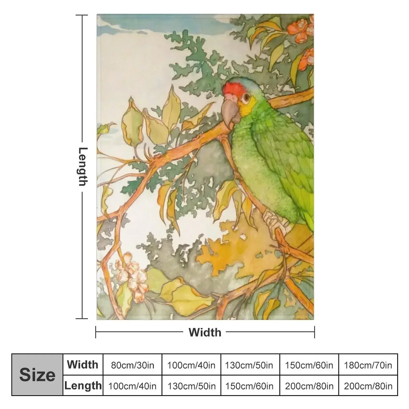 Red Lored Amazon Parrot Watercolor Throw Blanket Thins Travel Picnic For Decorative Sofa Soft Plush Plaid Bed Blankets
