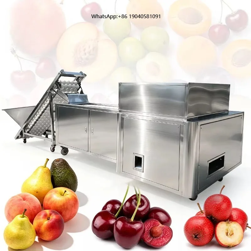ORME Automatic Stone Fruit Destone Machine Dried Red Date Seed Remover Cherry Plum Pit Remove Machine