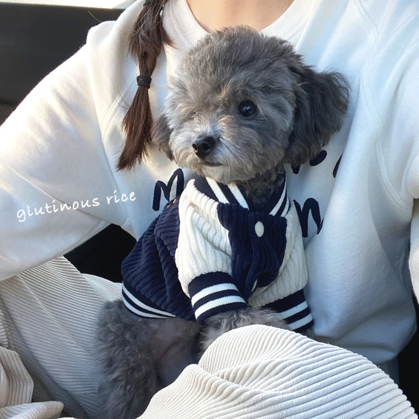 

Ins style Internet celebrity dog autumn and winter clothing Korean version baseball jacket teddy small dog pet cat warm clothes