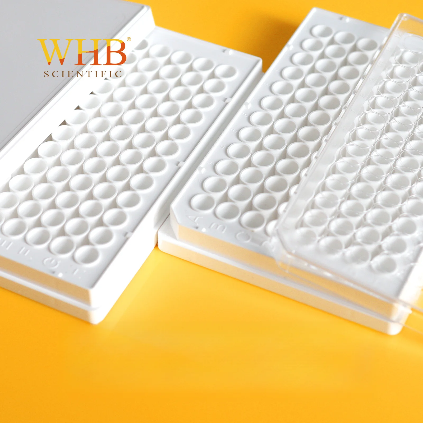 WHB 96 Well Black/White Plate TC Treated 96-well Flat Bottom Luminescent Plate Sterilized Cell Culture Plate For Bio Experiment