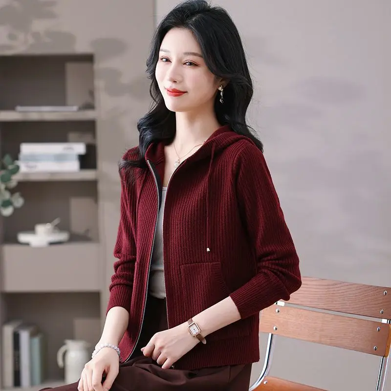

Hooded Knitted Cardigan Autumn and Winter New 2025 Short Loose Style Sweater Zipper Top Fashion Jacket