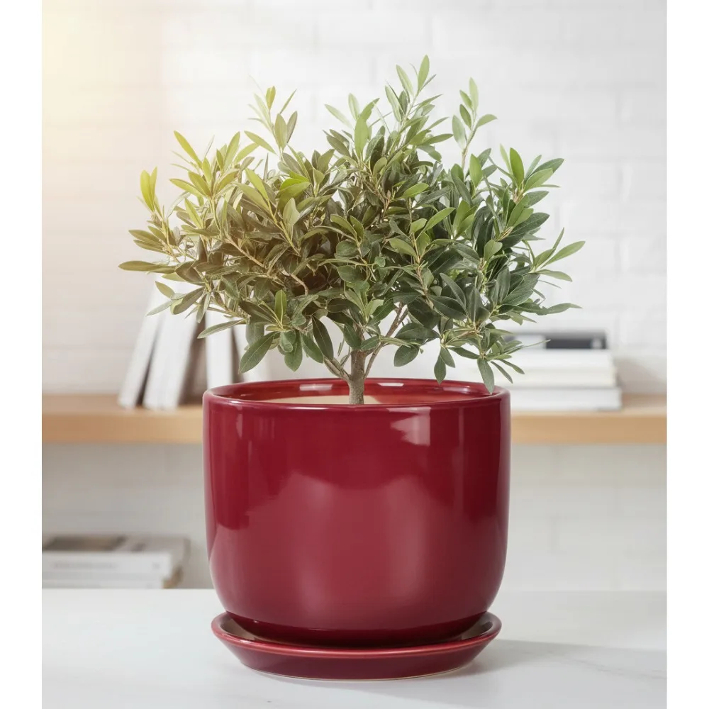 

Modern Red Ceramic Flower Pot with Drainage Hole and Saucer, 8 Inch Indoor Plant Pot for Succulents Home Decor