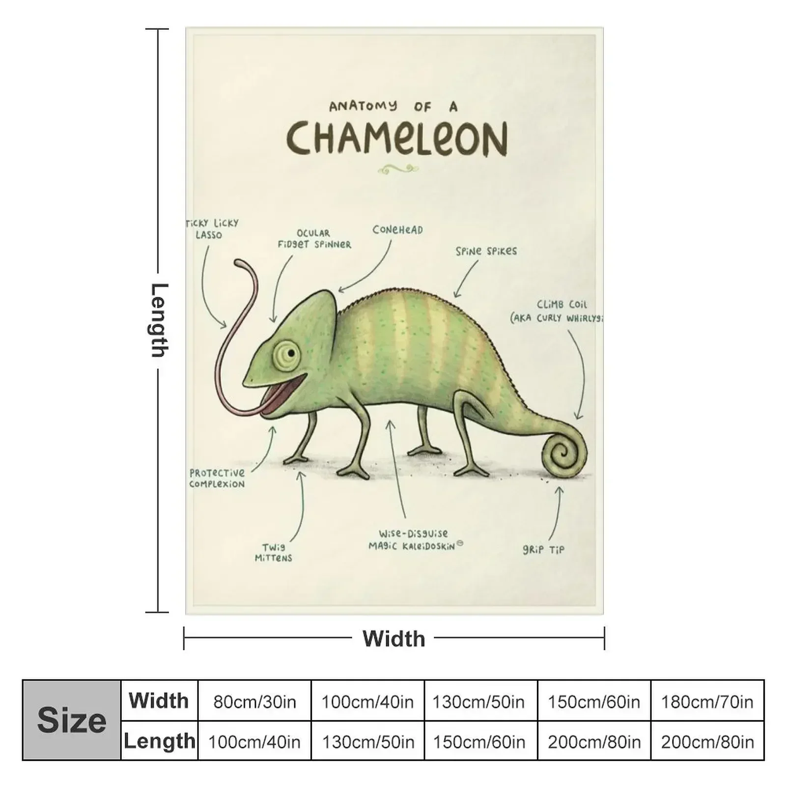 Anatomy of a Chameleon Throw Blanket Soft Big Travel Plaid Giant Sofa Blankets