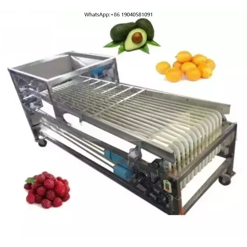Vegetable/Fruit Sorting Machine Olive Jujube Date Palm Plum Lemon Strawberry Blueberry Shame Areca Mangosteen Grading Machine