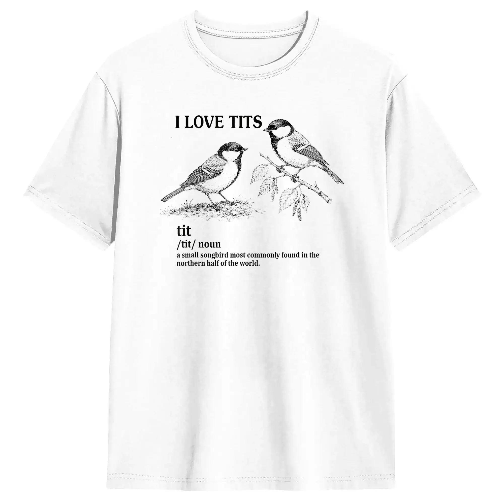 Фото Футболка I Love Tits WLW Ally Queer, летние модные футболки, мужская хлопковая футболка с круглым вырезом, одежда оверсайз, винтажная футболка с коротким рукавом