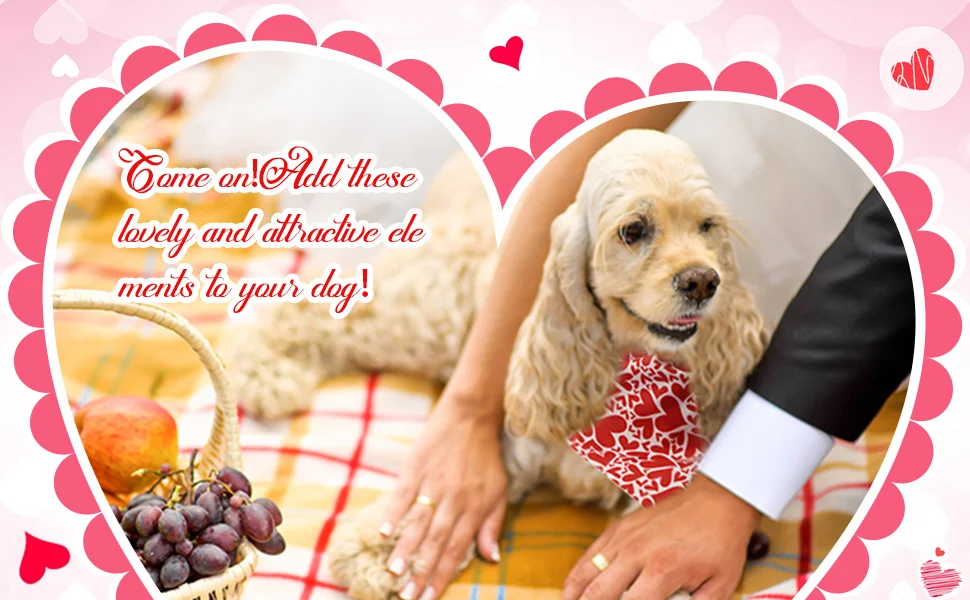 20 Packungen MIX Valentinstag-Hunde-Bandanas, herzförmig, kariert, dreieckig, Lätzchen, Schal, Halstuch, Schal, Bandana für Hunde, Katzen, Haustiere – Detail 12
