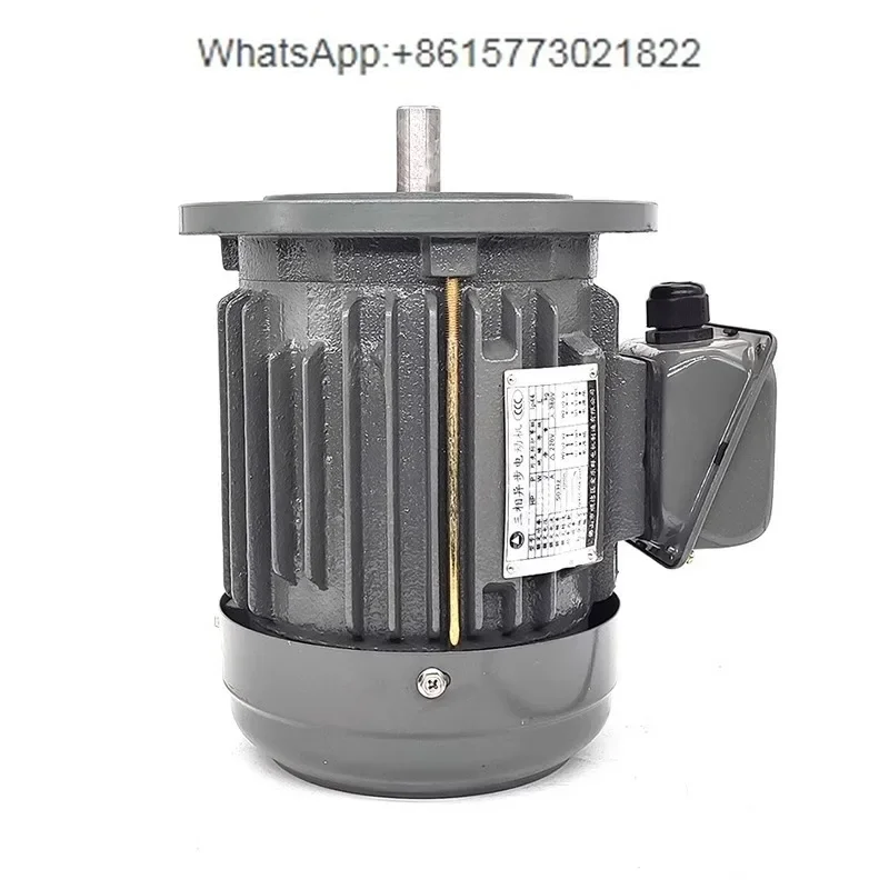 Taiwan Edley AEVF vertical three-phase 220 380V Ailequn AC induction asynchronous motor