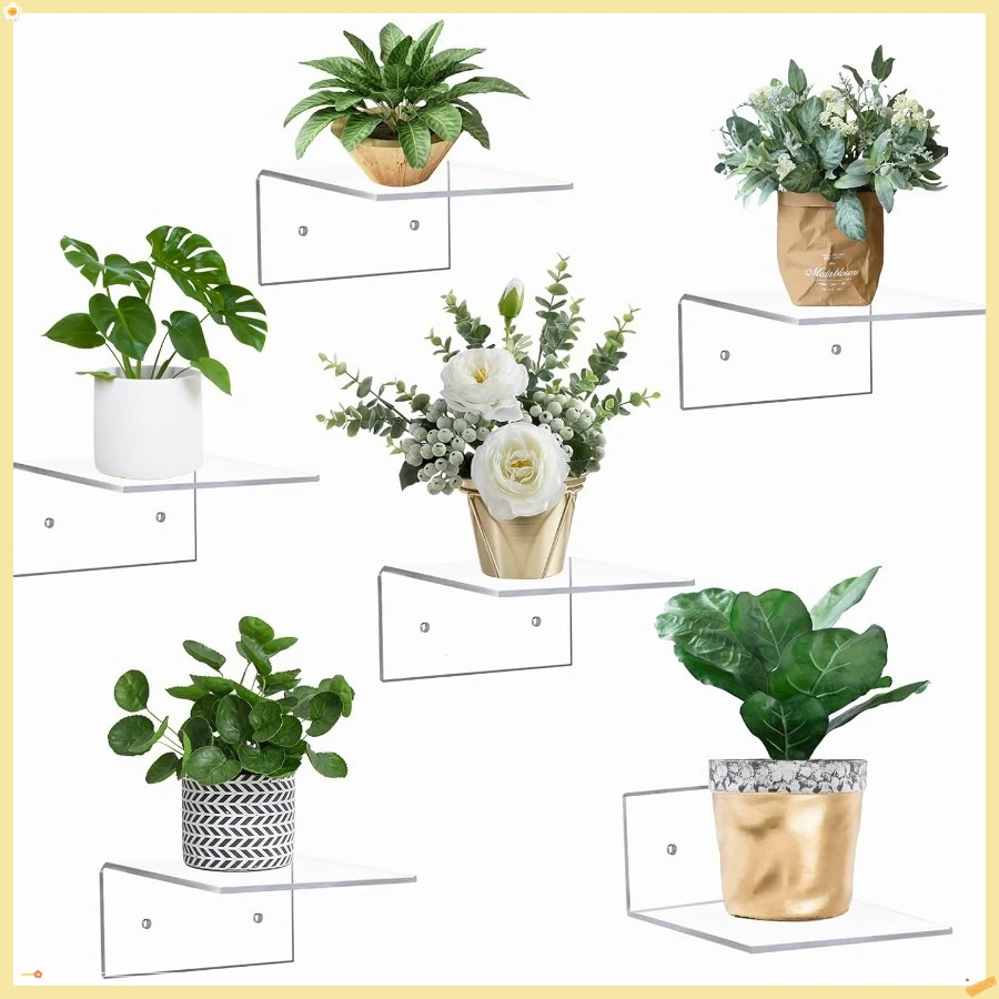 6 Pack Small Acrylic Floating Shelves for Wall, Wall Mounted Hanging Display Shelves for Plants , Adhesive Shelf for Bedroom