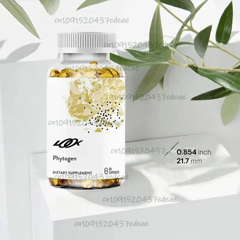 

Phytogen 60 Capsules - Immune Support for Echinacea, Astragalus, Schisandra, and Coptis