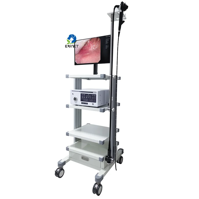 EURPET Manufacture Price CE Approved Trolley Veterinary Equipment Clinic Endoscope For Animals