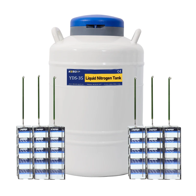 Frasco de tanque de almacenamiento a granel de 35L, contenedor de nitrógeno líquido criogénico Dewar biológico Yds-35 con accesorios